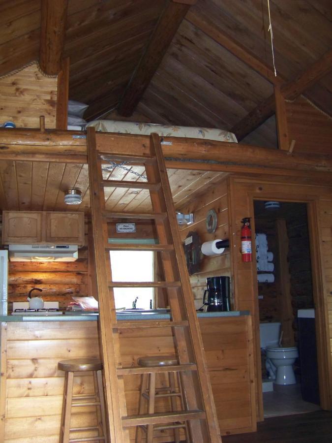 Box Canyon Cabins Seward Buitenkant foto