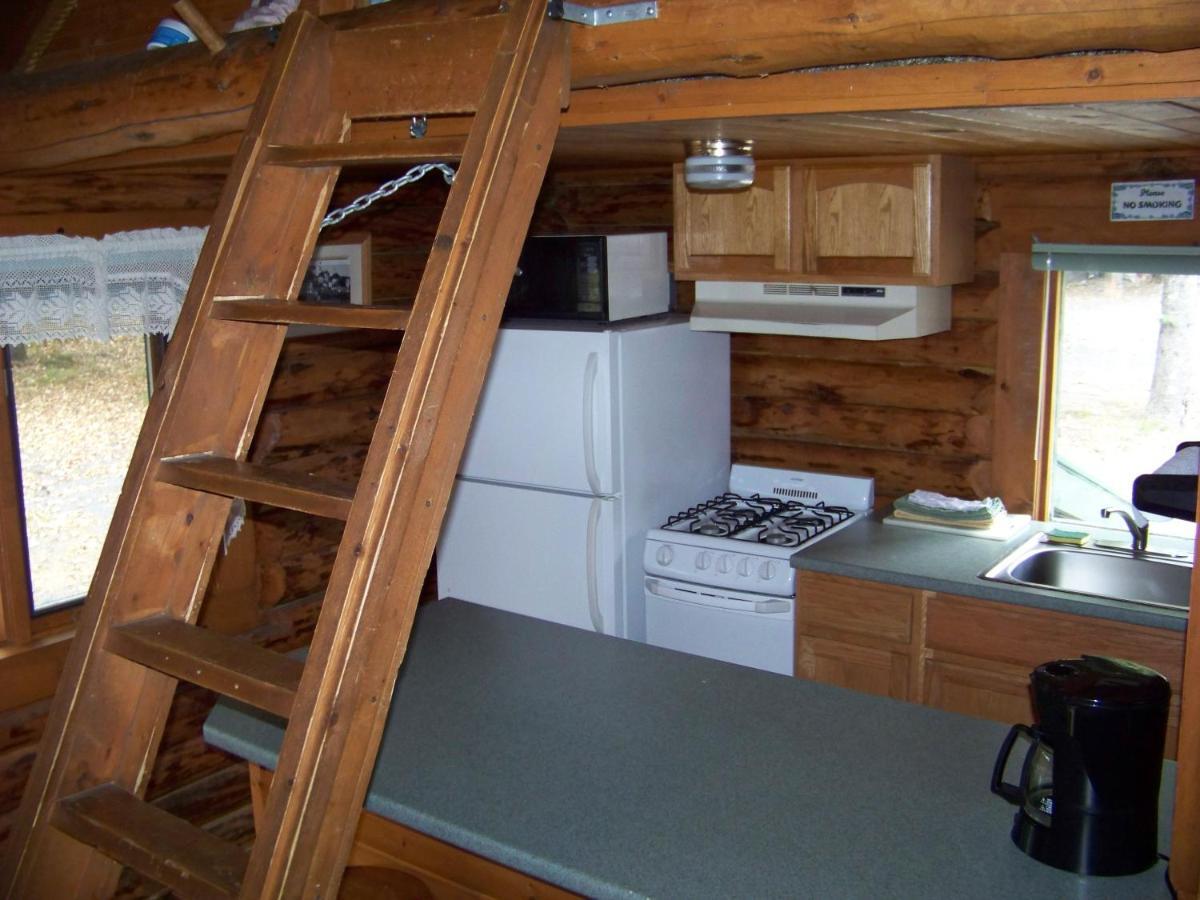 Box Canyon Cabins Seward Buitenkant foto