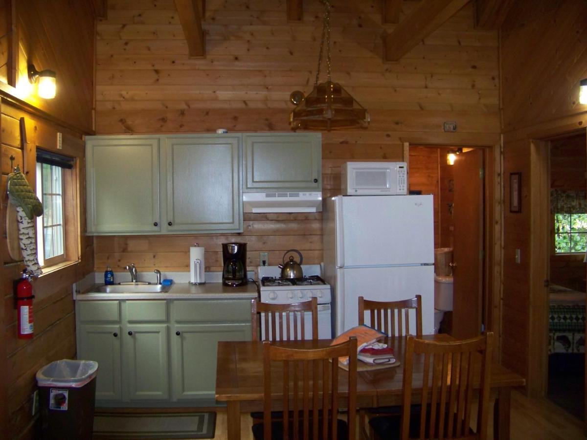 Box Canyon Cabins Seward Buitenkant foto